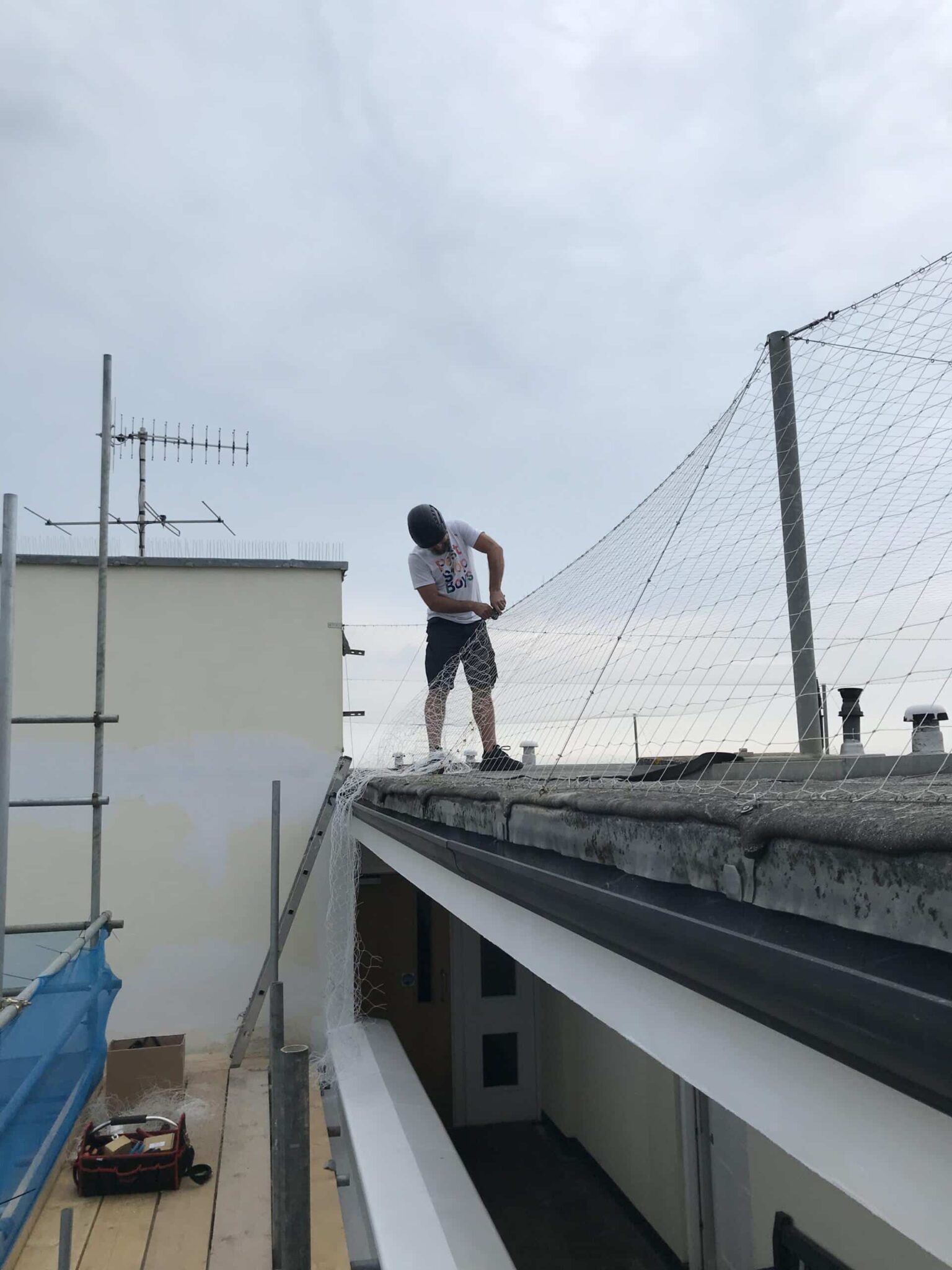 pest control services in action