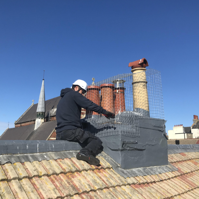 Pest Stop Boys adding protection to chimney